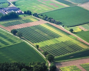 На земельних торгах на Херсонщині вартість оренди землі зросла на 45%